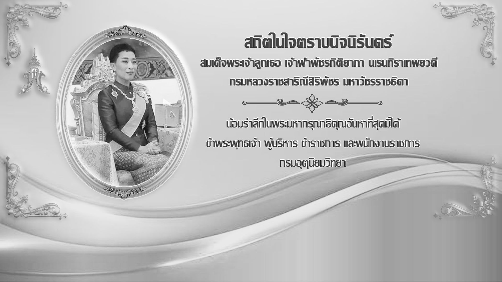 ตัวอย่างรูปภาพ